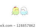 Budgerigar couple 128857862