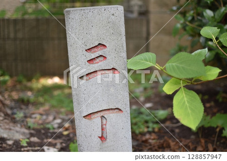 大約300公尺。古代表達距離的方式:sancho(三個街區) 大約300公尺。古代表達距離的方式:sancho(三個街區) 128857947