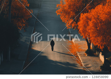Solitary figure walks down quiet street lined with vibrant orange autumn trees, casting long shadows 128858090