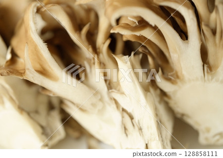 Close-up of Maitake mushrooms 128858111