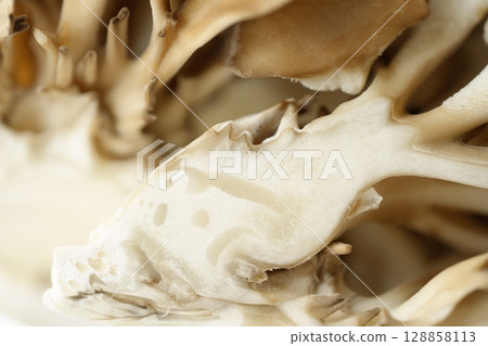 Close-up of Maitake mushrooms Close-up of Maitake mushrooms 128858113