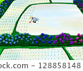 Rice planting in a rice field with hydrangeas blooming 128858148