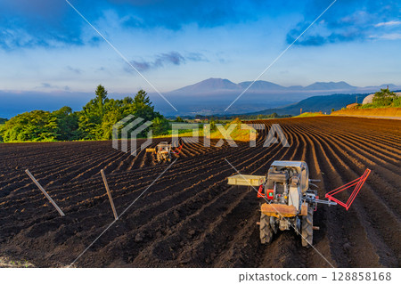 （群馬縣）嬬戀村的捲心菜田：插秧準備 128858168