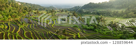 Aerial view of beautiful Rice Terraces surrounded by tropical forest in Bali, Indonesia. Balinese Rural scene. 128859644