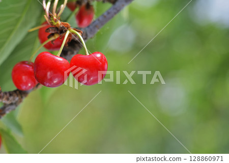 Cherries 128860971