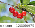 Cherries 128860975