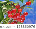 Cherries 128860976