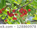 Cherries 128860978