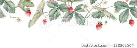 Seamless horizontal border or banner with wild strawberries and white flower. Hand drawn watercolor illustration on white isolated background. Floral pattern for frame or banner with woodland berries 128861504