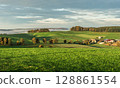 Panoramic view of rolling green hills and farmhouses, Witthoh, Hegau, Baden-Wuerttemberg, Germany 128861554