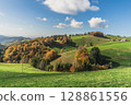 Rolling hills and autumn foliage in the Black Forest near Muenstertal, Baden-Wuerttemberg, Germany 128861556