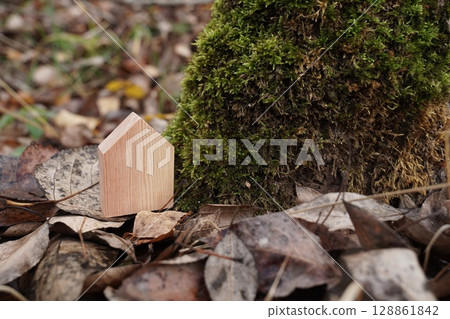 Crafting a wooden house mockup nestled next to a mossy tree trunk Crafting a wooden house mockup nestled next to a mossy tree trunk 128861842