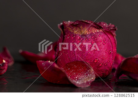 wet flaccid petals of a red rose flower, dried rose flower on a black slate board covered with water droplets, close up 128862515
