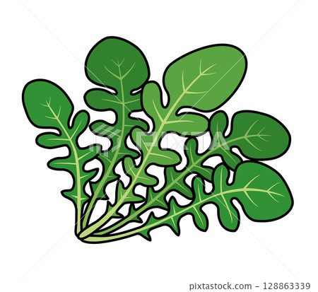 芝麻菜圖示 128863339
