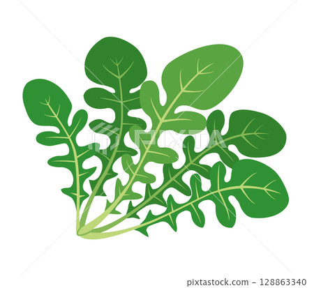 Arugula icon 128863340