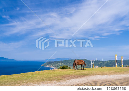 <宮崎縣> 土井岬與馬匹 <宮崎縣> 土井岬與馬匹 128863368