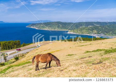 <Miyazaki Prefecture> Cape Toi with horses <Miyazaki Prefecture> Cape Toi with horses 128863373