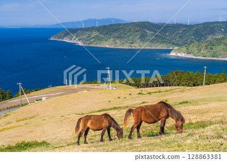 <宮崎縣> 土井岬與馬匹 128863381
