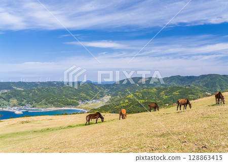 <宮崎縣> 土井岬與馬匹 128863415
