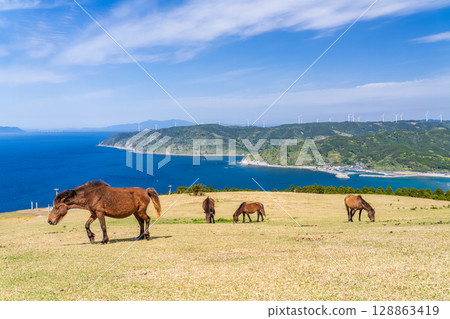 <宮崎縣> 土井岬與馬匹 128863419