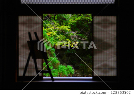 Fresh greenery at Erinji Temple in Yamanashi 128863502