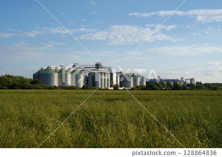 A modern agricultural complex with large metal grain storage silos, located in the middle of a green agricultural field. 128864836