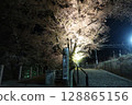Cherry blossoms at night at Jinroku Sakura Park, Katsunuma, Koshu City 128865156