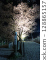 Cherry blossoms at night at Jinroku Sakura Park, Katsunuma, Koshu City 128865157