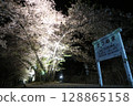 Cherry blossoms at night at Jinroku Sakura Park, Katsunuma, Koshu City 128865158