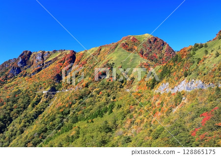 [Ehime Prefecture] Autumn leaves in Kamegamori (Mt. Ishizuchi) 128865175