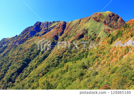 [Ehime Prefecture] Autumn leaves in Kamegamori (Mt. Ishizuchi) 128865180