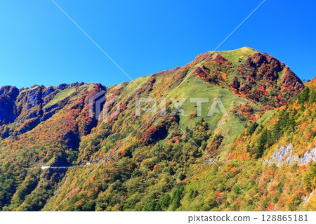 [Ehime Prefecture] Autumn leaves in Kamegamori (Mt. Ishizuchi) 128865181