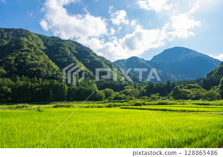 The original landscape of Ito city: Rural scenery in summer The original landscape of Ito city: Rural scenery in summer 128865486