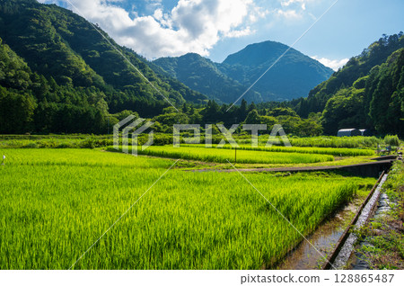 The original landscape of Ito city: Rural scenery in summer 128865487