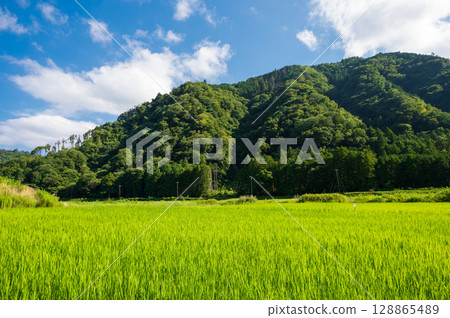 The original landscape of Ito city: Rural scenery in summer 128865489