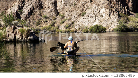 Paddleboarding with a Dog on the Colorado River in Arizona 128865499