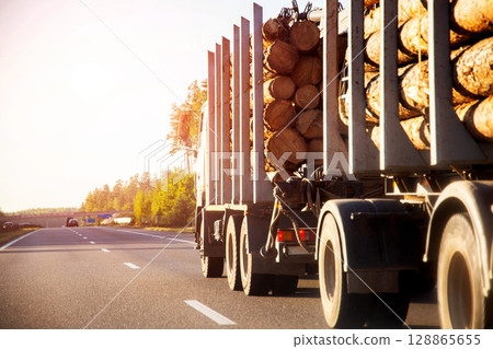 A logging truck with a semi-trailer transports forest logs along a country road in summer against the backdrop of a sunset. Timber export, industry A logging truck with a semi-trailer transports forest logs along a country road in summer against the backdrop of a sunset. Timber export, industry 128865655