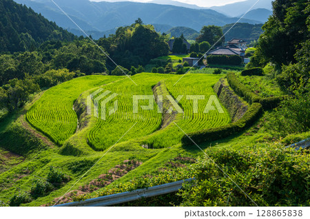 Rice terraces in the desert, three tiers of rice terraces, pristine scenery 128865838