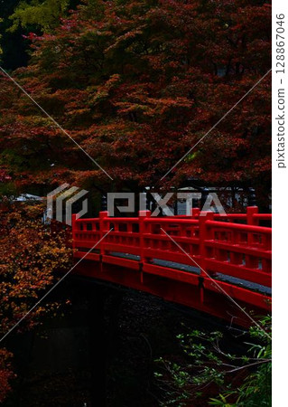 矢部神社的秋葉 矢部神社的秋葉 128867046