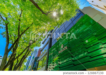 東京，澀谷區，表參道，新綠 128867130