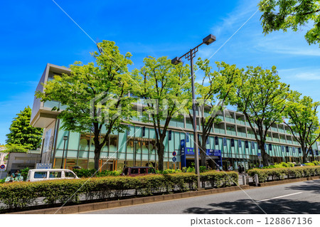 Tokyo, Shibuya Ward, Omotesando, fresh greenery Tokyo, Shibuya Ward, Omotesando, fresh greenery 128867136