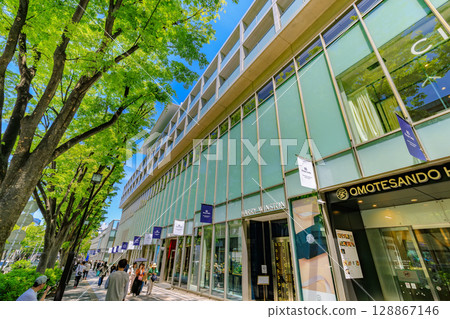 東京,澀谷區,表參道,新綠 東京,澀谷區,表參道,新綠 128867146
