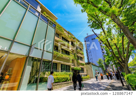 Tokyo, Shibuya Ward, Omotesando, fresh greenery Tokyo, Shibuya Ward, Omotesando, fresh greenery 128867147