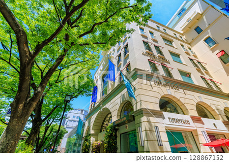 東京，澀谷區，表參道，新綠 128867152