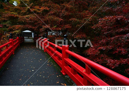 矢部神社的秋葉 矢部神社的秋葉 128867175