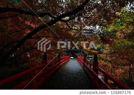 矢部神社的秋葉 矢部神社的秋葉 128867176