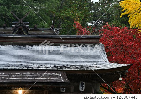 Autumn leaves at Yabu Shrine 128867445