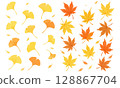 Autumn leaves and ginkgo leaves set - Recommended for background material, one-point design, POP, flyers, SNS posts, etc. 128867704