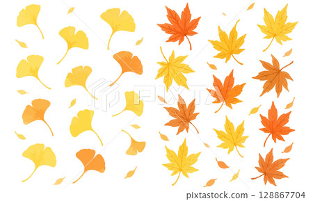 Autumn leaves and ginkgo leaves set - Recommended for background material, one-point design, POP, flyers, SNS posts, etc. Autumn leaves and ginkgo leaves set - Recommended for background material, one-point design, POP, flyers, SNS posts, etc. 128867704
