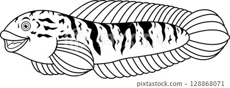 Snakehead fish channa line art Snakehead fish channa line art 128868071